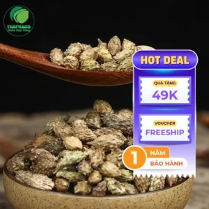 Công ty bán sỉ Ké Đầu Ngựa Sấy Khô THAPHACO: Chất lượng, Giá tốt tại TP.HCM