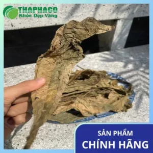 Lá Khôi Tía Sấy Khô Tại TP.HCM - Thảo Dược Tươi THAPHACO