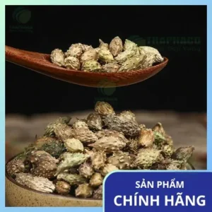 Địa Chỉ Bán Ké Đầu Ngựa Sấy Khô Tại TP.HCM: THAPHACO