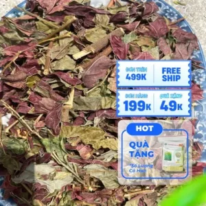 Lá Đơn Đỏ: Địa Chỉ Bán Sỉ Uy Tín Tại TP.HCM - THAPHACO