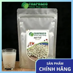 Sỉ Ý Dĩ Chất Lượng Cao Tại TP.HCM: Lựa Chọn Hàng Đầu