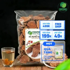 Địa chỉ bán sỉ Kê Huyết Đằng tại TP.HCM