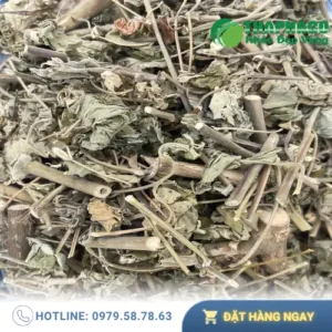 Địa chỉ bán Cây Cối Xay Sấy Khô tại TP.HCM: Đánh Giá Chuyên Môn