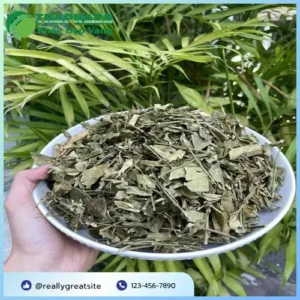 1kg Dây thìa canh giá bao nhiêu? Mua ở đâu tốt nhất?