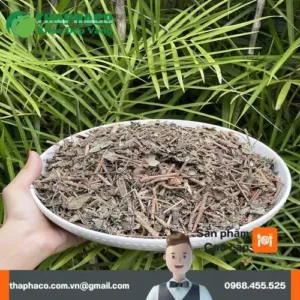 Chè Dây THAPHACO: Đánh Giá Chuyên Sâu Thảo Dược Tươi Cao Cấp