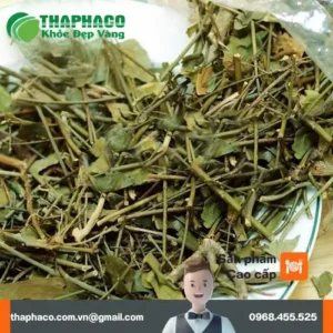 Chè Vằng THAPHACO: Chuyên Gia Đánh Giá Chất Lượng Cao