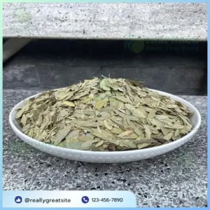 Kiểm Định Phan Tả Diệp THAPHACO: Mua 1 Tặng 1 Chất Lượng Vượt Trội