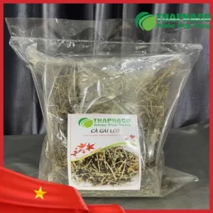 Cà Gai Leo Sỉ TP.HCM: Nguồn Thảo Dược Sạch, Cao Cấp - THAPHACO