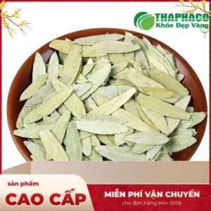 Giá Phan Tả Diệp: Đánh giá chất lượng và giá trị thực THAPHACO