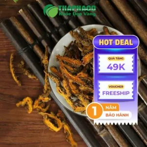 Hoàng Liên Sấy Khô ThaphaCo: Đánh Giá Chi Tiết Từ Dược Sĩ
