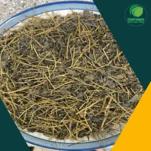 Giảo Cổ Lam Sấy Khô 1kg THAPHACO: Dược Sĩ Hướng Dẫn Sử Dụng Chuẩn Chuyên Gia