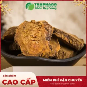 Đại Hoàng Sấy Khô Cao Cấp: Thảo Dược Tươi THAPHACO