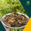 Địa chỉ bán sỉ Đại Hoàng giá tốt tại TP.HCM