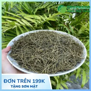 Địa chỉ bán sỉ Giảo Cổ Lam tại TP.HCM uy tín, chất lượng