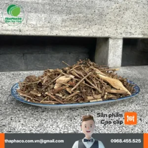 Mua Hương Nhu Khô Ở Đâu Uy Tín TPHCM? Thảo Dược Tươi THAPHACO