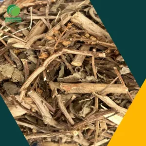 Giá Sỉ Hương Nhu Khô THAPHACO: Giải Pháp Toàn Diện Cho Sức Khỏe