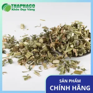 Mua Sỉ Trà Ích Mẫu Sấy Khô Ở Đâu Uy Tín? Thảo Dược Tươi