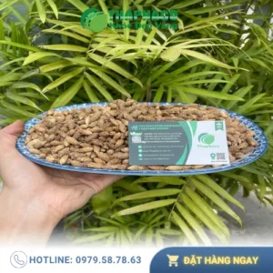 1kg Ké Đầu Ngựa Sấy Khô Giá Bao Nhiêu? THAPHACO Chất Lượng Cao