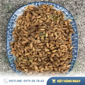 1kg Ké Đầu Ngựa Sấy Khô Giá Bao Nhiêu? Khám Phá Chất Lượng Vượt Trội