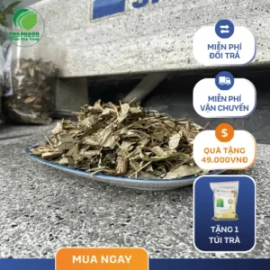 Khổ Sâm Mua Ở Đâu Giá Rẻ, Uy Tín? THAPHACO Chất Lượng Cao!