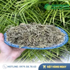 Cửa hàng bán sỉ lá bạc hà khô tại TP.HCM: Chất lượng, Giá Tốt