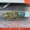 Địa Chỉ Bán Lá Bạc Hà Khô THAPHACO Chất Lượng Cao Tại TP.HCM