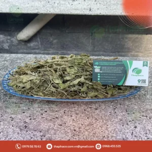 Địa Chỉ Bán Lá Bạc Hà Khô THAPHACO Chất Lượng Cao Tại TP.HCM