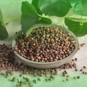 Nụ Vối Sấy Khô Sỉ TP.HCM - Thảo Dược Tươi THAPHACO Chất Lượng Cao