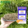Chỗ Bán Sài Đất Khô Tại TP.HCM: THAPHACO Chất Lượng, Giá Tốt