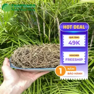 Chỗ Bán Sài Đất Khô Tại TP.HCM: THAPHACO Chất Lượng, Giá Tốt