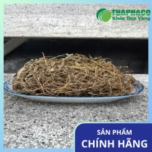 Sài Đất Khô Giá Bao Nhiêu? Cập Nhật Giá 1kg tại THAPHACO