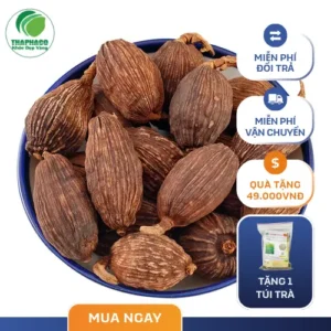 Thảo Quả Sấy Khô TP.HCM: THAPHACO Đảm Bảo Chất Lượng Cao