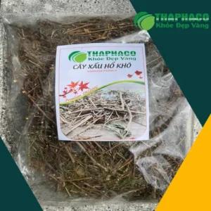 Đại lý bán sỉ cây xấu hổ sấy khô tại TP.HCM