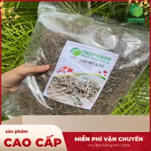Mua Cây Xấu Hổ Khô Ở Đâu Uy Tín? THAPHACO Chất Lượng Cao
