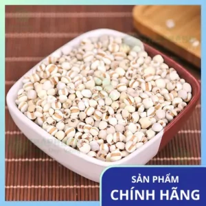Ý Dĩ Chất Lượng Cao Thảo Dược Tươi THAPHACO | Mua Ngay