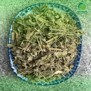 Địa chỉ bán cây cối xay sấy khô tại TP.HCM uy tín