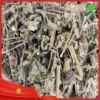 Địa chỉ bán Cây Cối Xay sấy khô tại TP.HCM - Thảo Dược Tươi