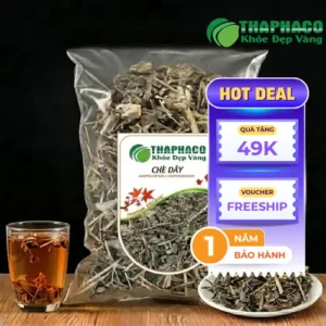 Mua Chè Dây Khô Chất Lượng & Uy Tín Tại THAPHACO