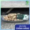 Địa chỉ bán sỉ củ tam thất nam tận gốc tại TP.HCM