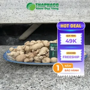 Giá 1kg Củ Tam Thất Nam tại TP.HCM: Đánh Giá Chi Tiết