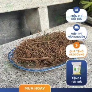 1kg Dây Tơ Hồng Giá Bao Nhiêu? Đánh Giá Từ Chuyên Gia THAPHACO