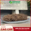 Chỗ Bán Sỉ Dây Tơ Hồng TPHCM: Đảm Bảo Chất Lượng & Giá Tốt