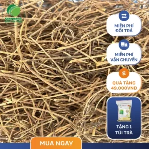Địa chỉ mua 1kg dây tơ hồng sấy khô chất lượng tại TP.HCM