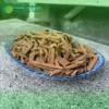 Mua sỉ hậu phác khô ở đâu uy tín? Chuyên gia Thảo Dược Tươi giải đáp