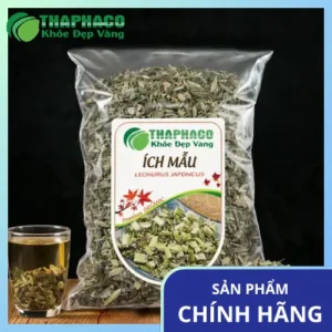 Mua Ích Mẫu Khô Ở Đâu Uy Tín? Khám Phá Thảo Dược Tươi THAPHACO
