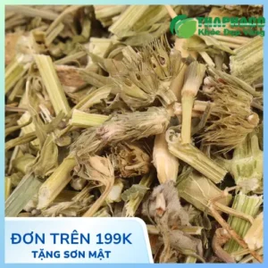 Mua Ích Mẫu Khô Uy Tín Ở Đâu? Đánh Giá Từ Chuyên Gia THAPHACO