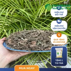 Địa Chỉ Bán Mã Đề Sấy Khô Tại TP.HCM - THAPHACO Chất Lượng Cao