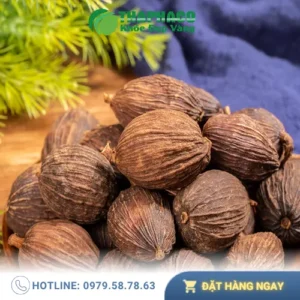 Chỗ Bán Thảo Quả Sấy Khô TP.HCM Chuẩn Chất Lượng Thảo Dược Tươi