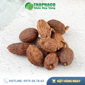 Chỗ Bán Thảo Quả Sấy Khô Tại TP.HCM: Chất Lượng Cao, Giá Tốt