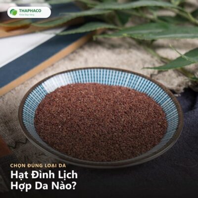 hạt đình lịch hợp da nào - hạt đình lịch THAPHACO